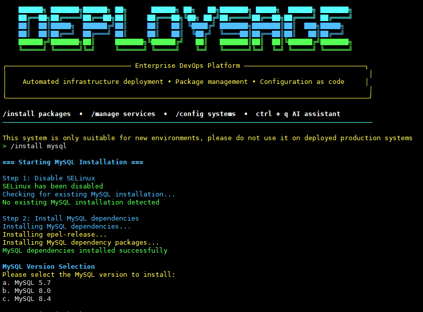 DeploySage CLI Demo 3